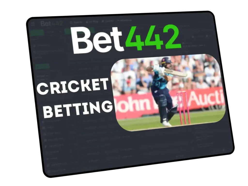 Cricket